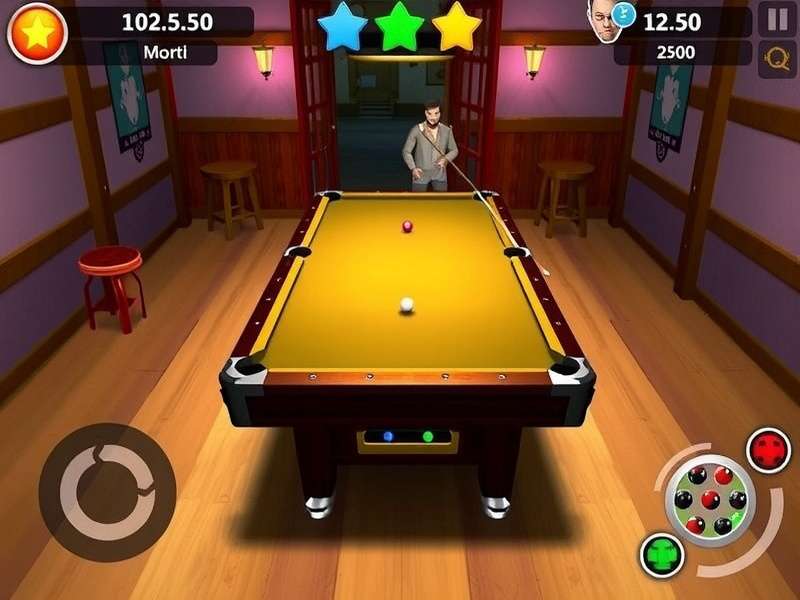Desi Dhaba Pool Pro Gameplay